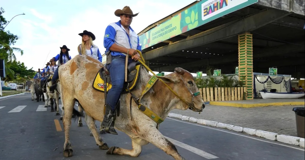Calendário agro na Bahia terá mais de 40 eventos em 2026