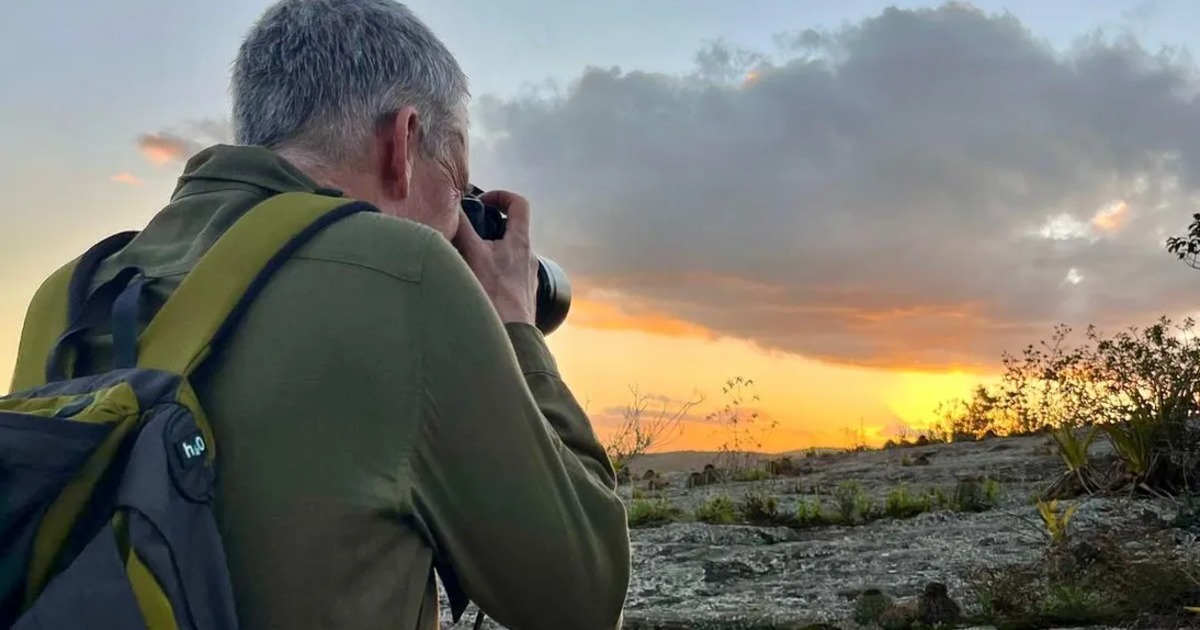 Bahia vira vitrine global para observação de aves e atrai turistas de 40 países