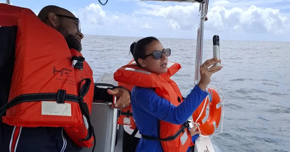 Projeto mapeia fauna marinha no sul da Bahia por meio do DNA ambiental