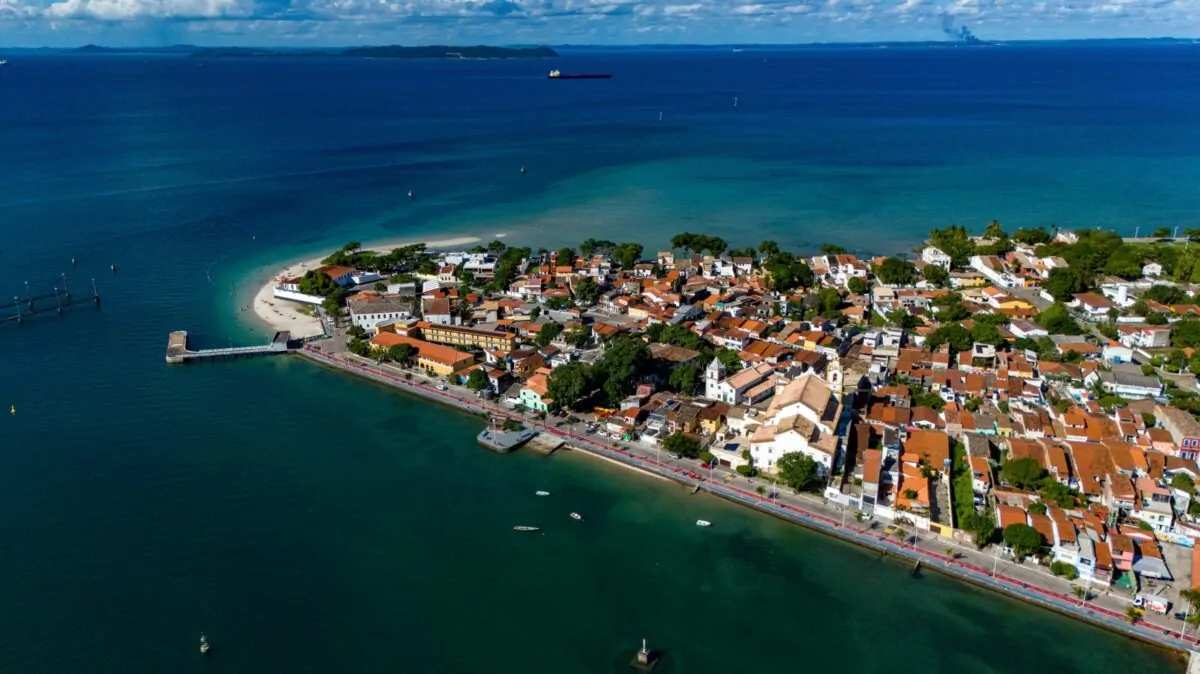 Ilha de Itaparica ganha primeiro viveiro de mangue destinado à recuperação ambiental