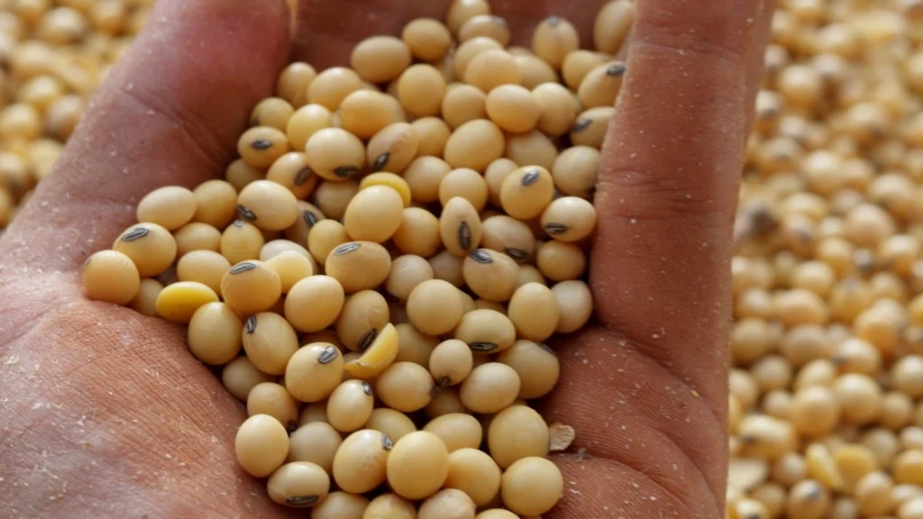 Agro baiano tem superávit de US$ 507 milhões