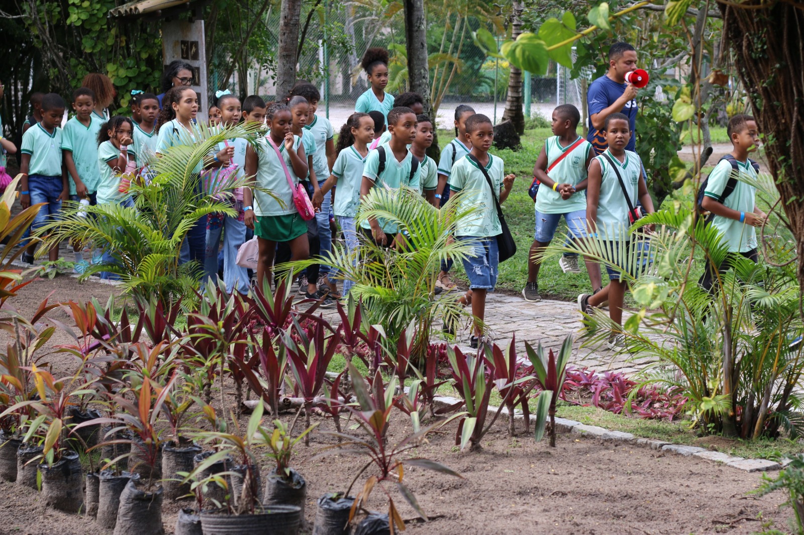 Natureza vira sala de aula em programação especial da Semana do Meio Ambiente