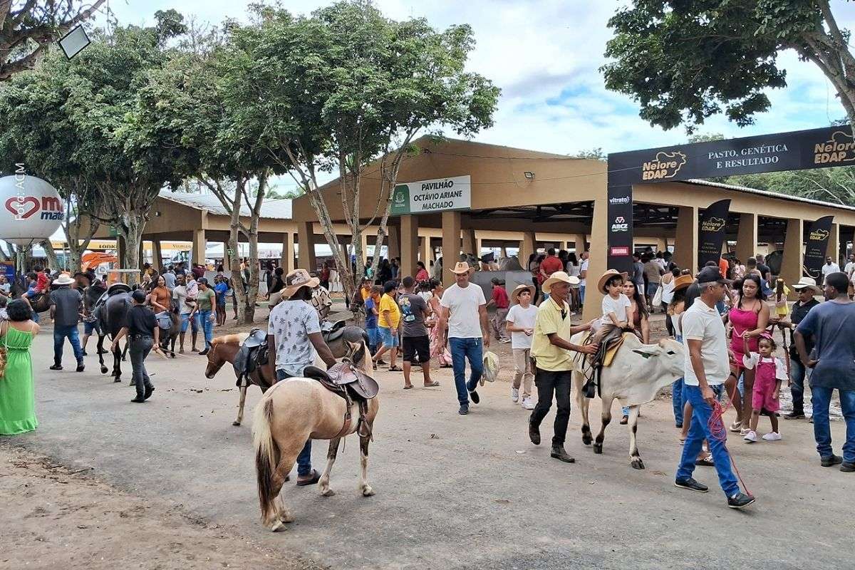 Sedeso participa do planejamento da Expofeira 2026