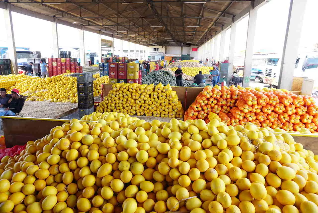 Bahia possui a segunda maior central de abastecimento de frutas e hortaliças do Brasil