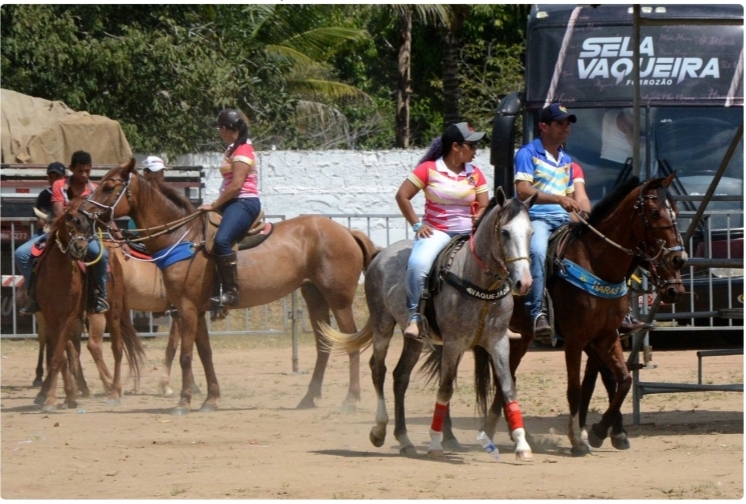 Alecrim Miúdo se prepara para a 38ª Festa do Vaqueiro nos dias 19 e 20 de setembro